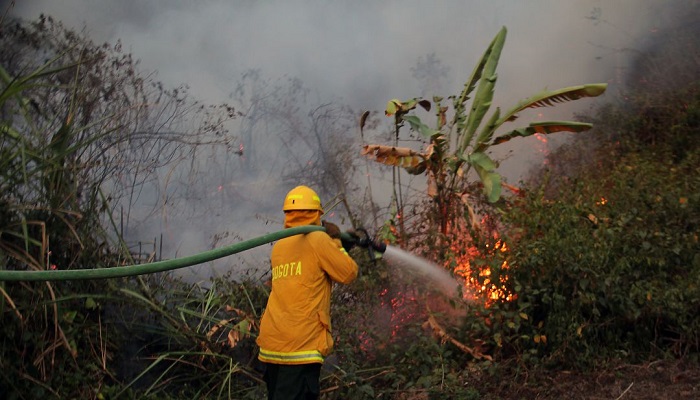Ideam declaró alerta roja en 44 municipios de Cundinamarca por incendios forestales