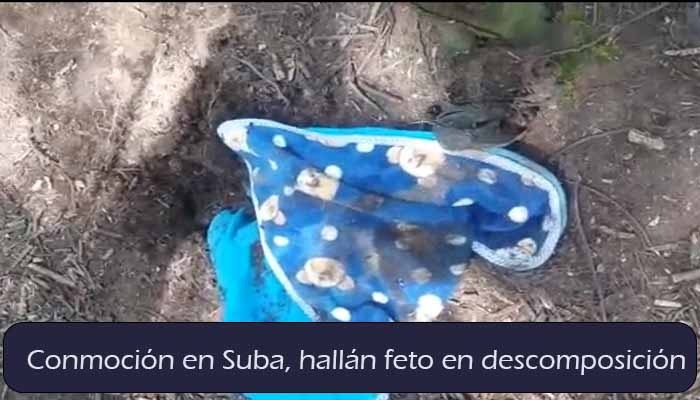 Conmoción en Suba, perros olfatean y hallan feto de una bebé en un sitio solitario de Tuna Alta en la localidad once