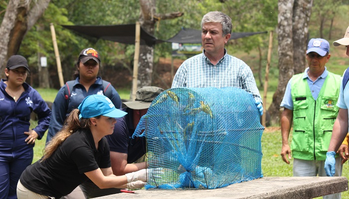 Alcaldía de Bogotá recuperó y liberó 70 animales silvestres en el Departamento del Meta