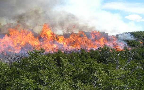 Secretaria de Ambiente: Los incendios forestales deterioran la calidad del aire