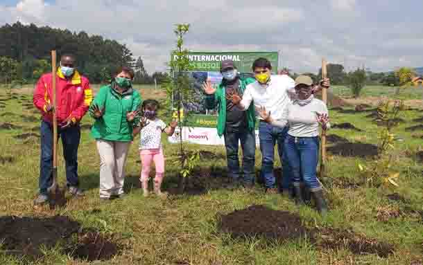 Este sábado se plantarán 100 árboles en la reserva Thomas van der Hammen