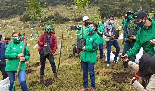 Distrito y comunidad multiplican sus fronteras verdes con diez mil nuevos árboles para Bogotá