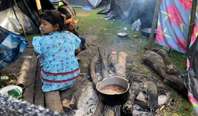 Tutela instaurada por Personero de Bogotá a favor de los Embera, fue fallada de manera positiva