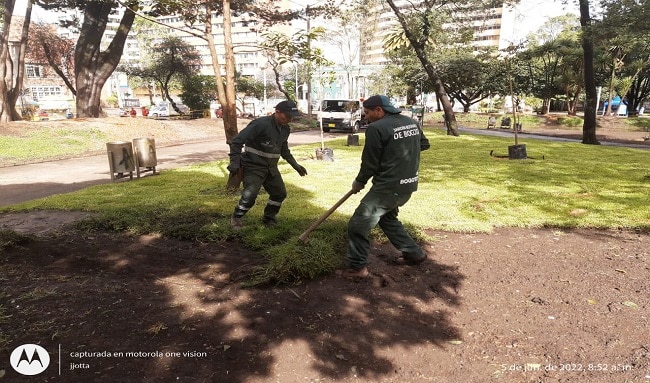 Distrito, Ejército Nacional y comunidad plantaron 120 árboles en parque Nacional￼
