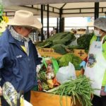 Conozca el nuevo punto de los Mercados Campesinos en Bogotá