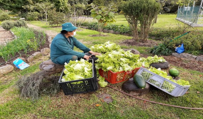 Primer aniversario de “Bogotá es mi huerta” Mercados Campesinos Agroecológicos